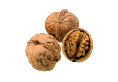 Nueces